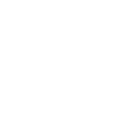 Extrusion capability icon